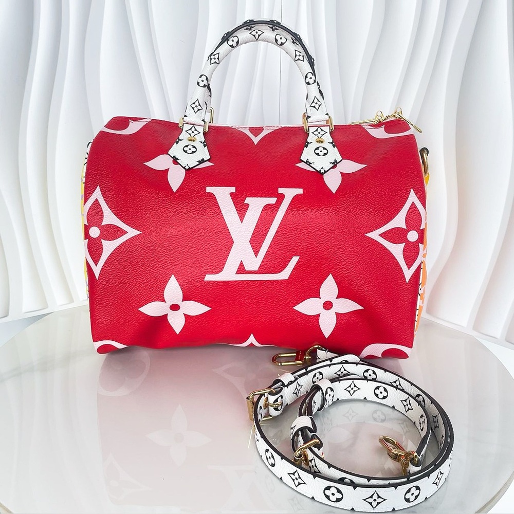Louis Vuitton Multicolor Monogram Canvas Speedy Handbag